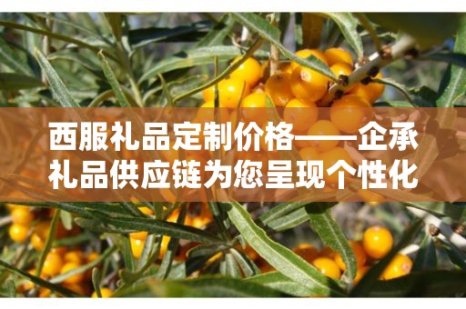 西服礼品定制价格——企承礼品供应链为您呈现个性化定制体验